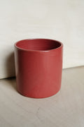 TU cup