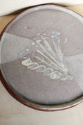 YO illustrated plate