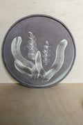YO illustrated plate